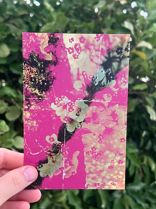 Japanese Floral Abstract Pink Blooms Greeting Card / Postcard