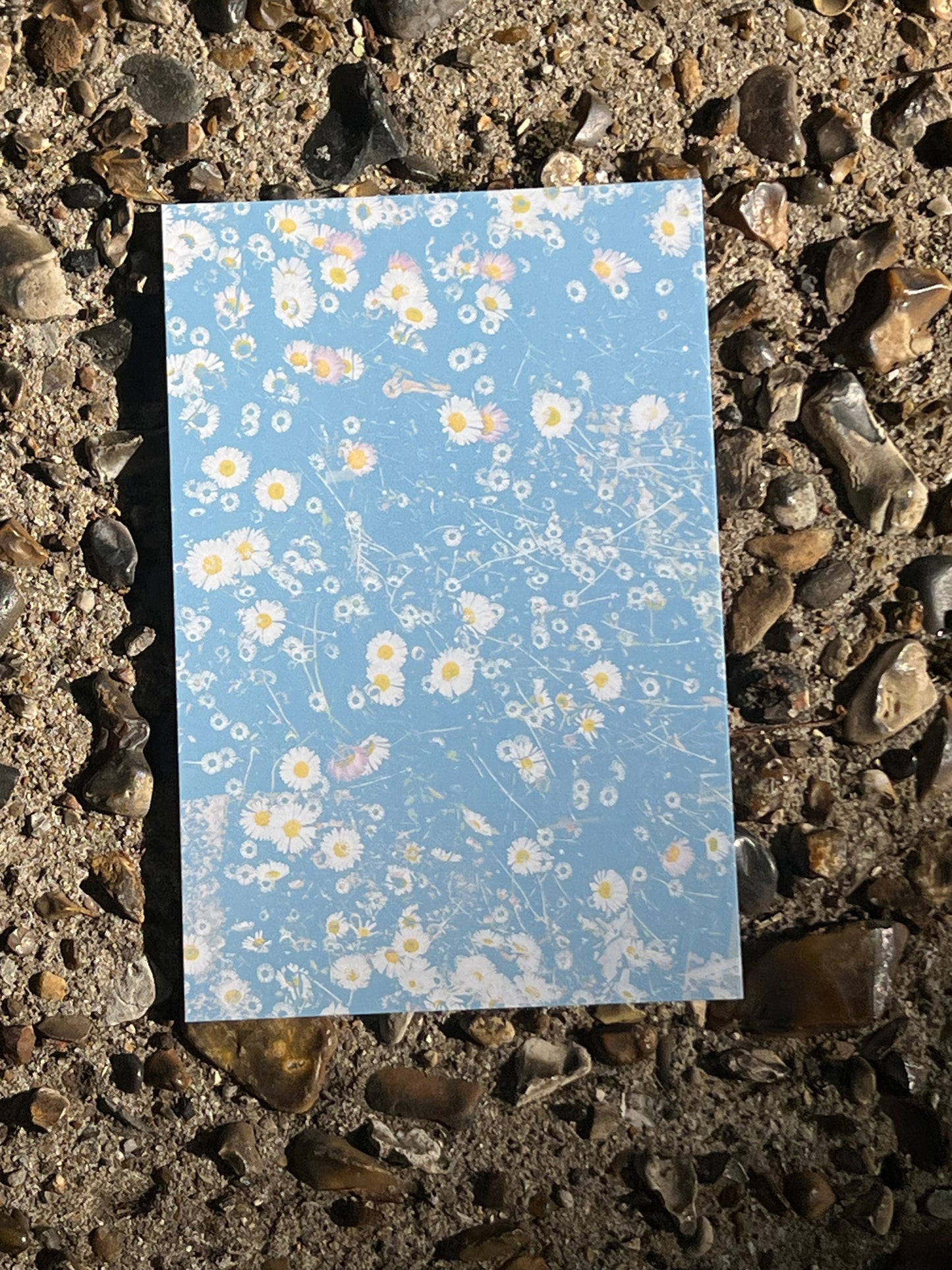 Rustic Daisy Card – Textured Floral Artwork