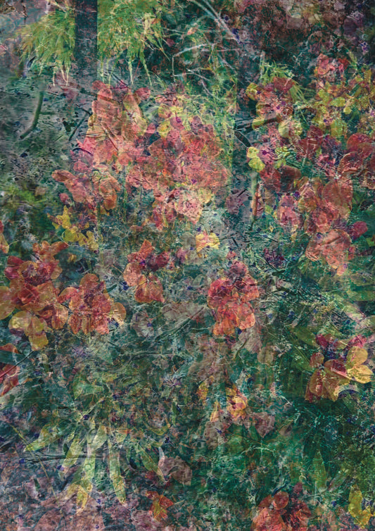 Layered Floral Postcard