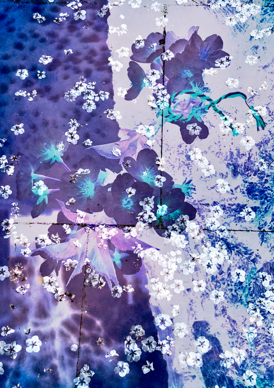 Chinese-Inspired Purple Blooms Greeting Card / Postcard